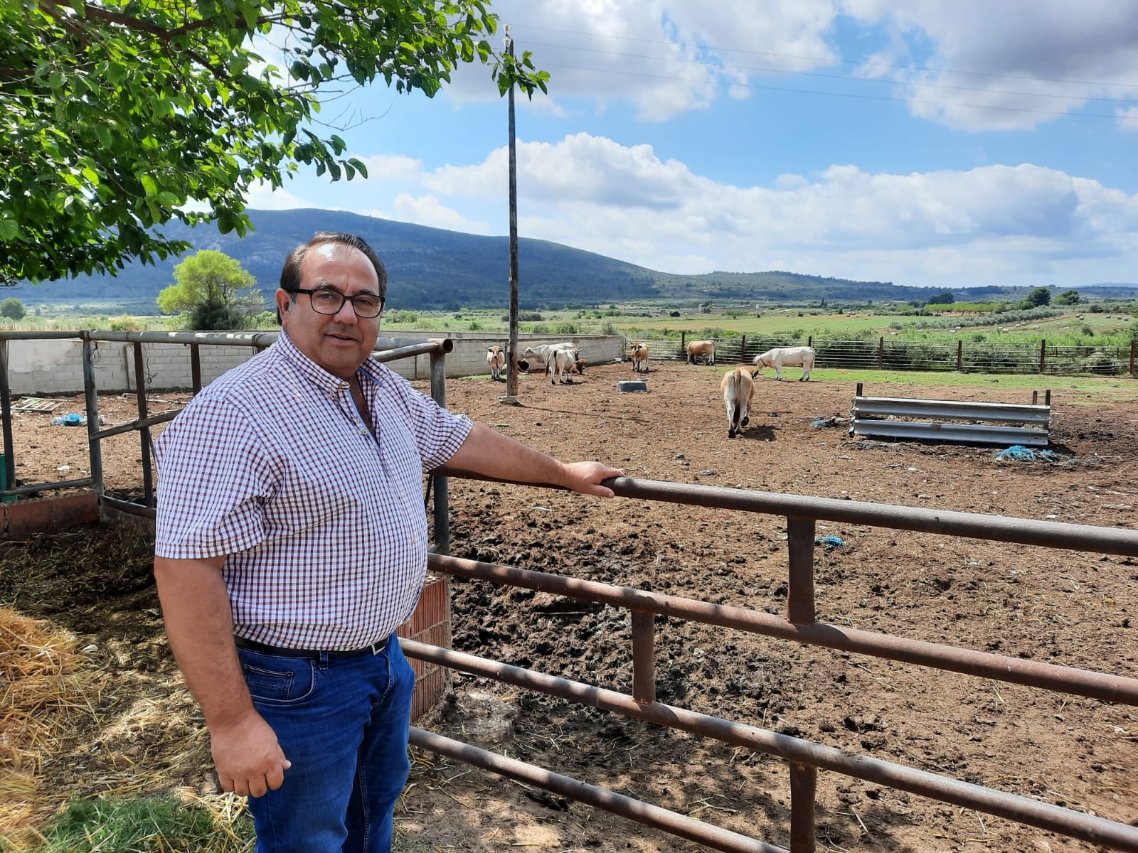 El Consell invierte 125.000 euros para prevenir incendios a través de 23 ganaderías de Castellón