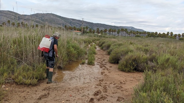 La Diputación refuerza las actuaciones contra los mosquitos tras el paso de la DANA