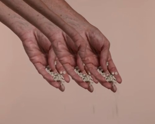 La artista valenciana Concha Ros reflexiona sobre la naturaleza y la identidad femenina con ‘Circadiana’
