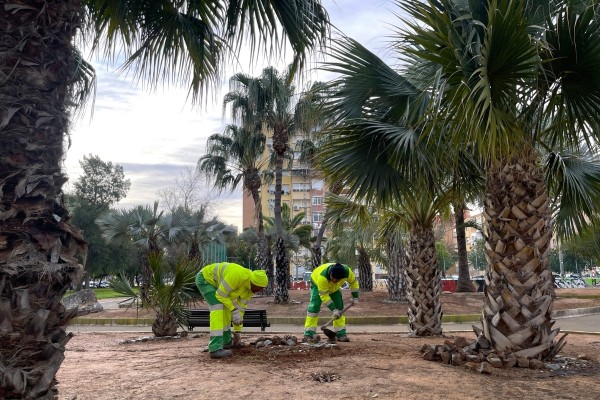 Cartagena inicia la renovación integral del Palmetum de Ronda de Ferrol