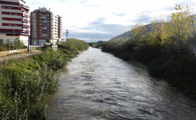 La Diputació destina ayudas para sustituir cañas en riberas de ríos por especies menos incendiables