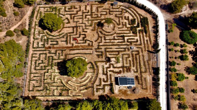 El nuevo laberinto de cipreses de Benidorm prevé abrir sus puertas en 2025