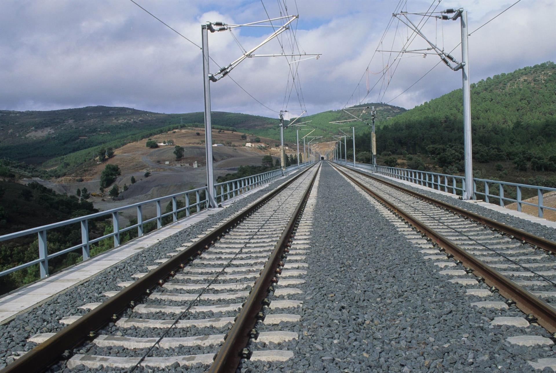 Suspenden la circulación del Cercanías de Murcia y Alicante tras arrollar el tren un árbol 