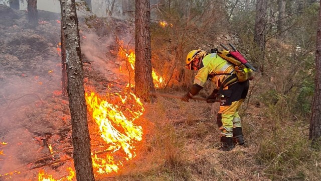 Controlados los incendios forestales en Artana y Sellent