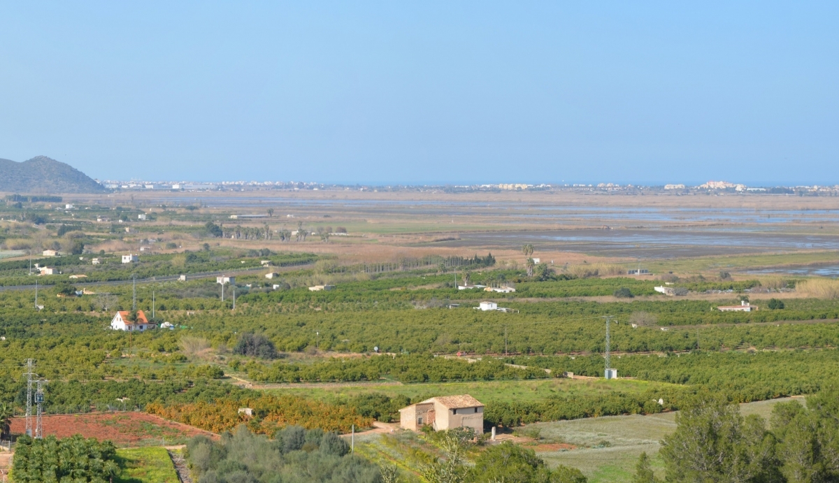 La Generalitat reorganizará 839 hectáreas en la Marjal de Oliva-Pego para proteger el humedal