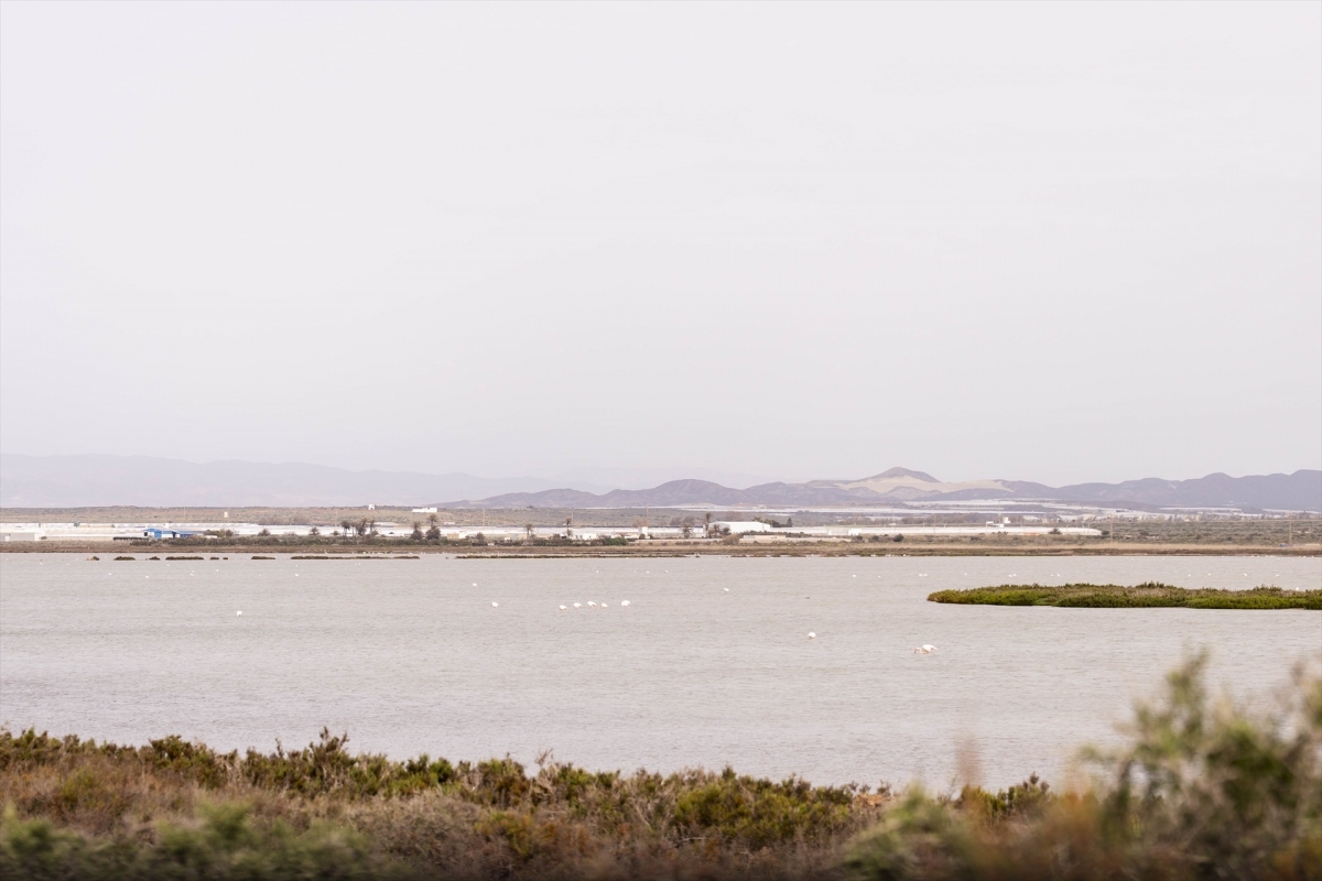 La Comisión Europea invierte 29,7 millones de euros para restaurar 26.200 hectáreas de humedales en España