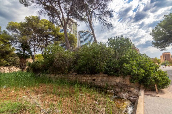 Benidorm limpia los tramos urbanos de los barrancos para minimizar los efectos de las lluvias torrenciales