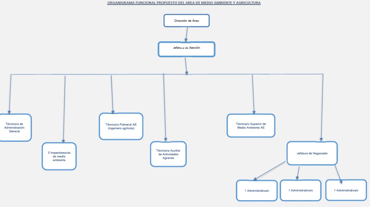 Nuevo organigrama planteado -