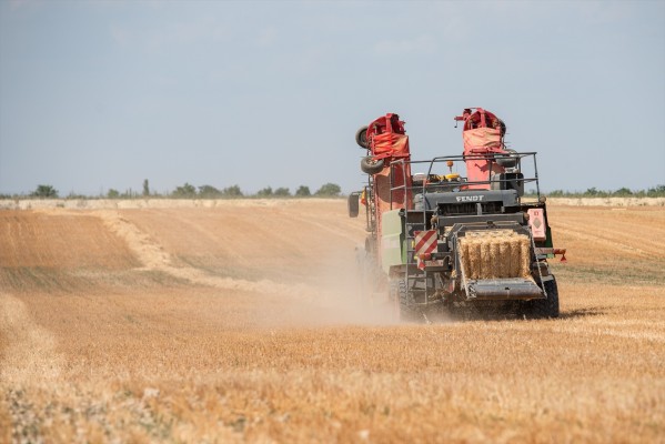 Agricultores y ganaderos denuncian un 