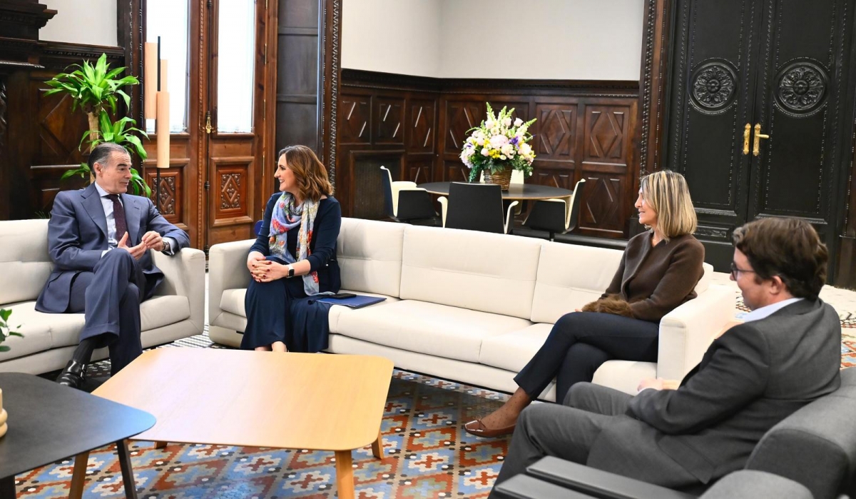 El IVO construirá por 1,5 millones otro parque sobre Gulliver entre el Pont de les Arts y el de Glòries Valencianes