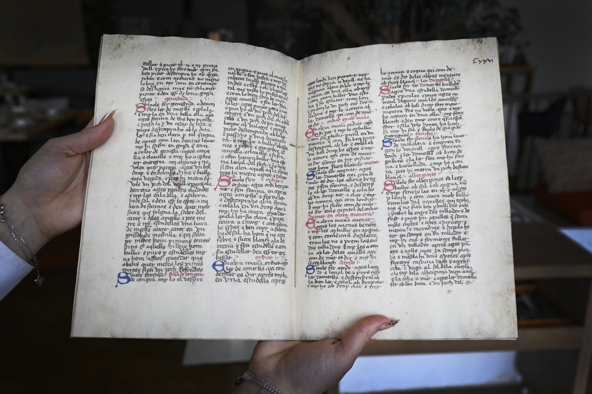 El Llibre del Sent Soví 