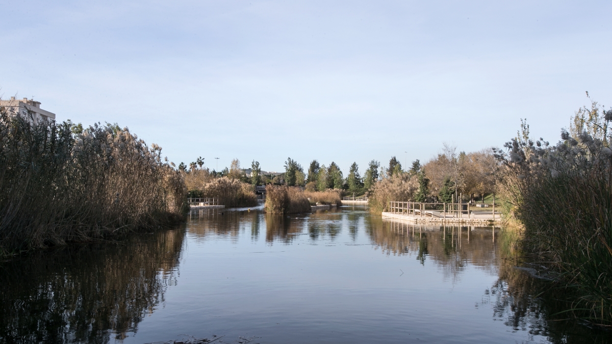 El Festival de Cine de Alicante volverá a premiar el respeto al medio ambiente 