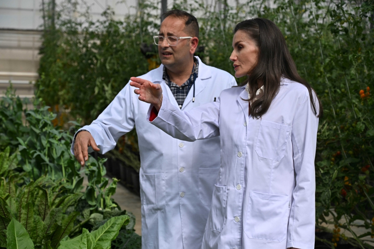 Invernadero con distintos tipos de verduras y hortalizas