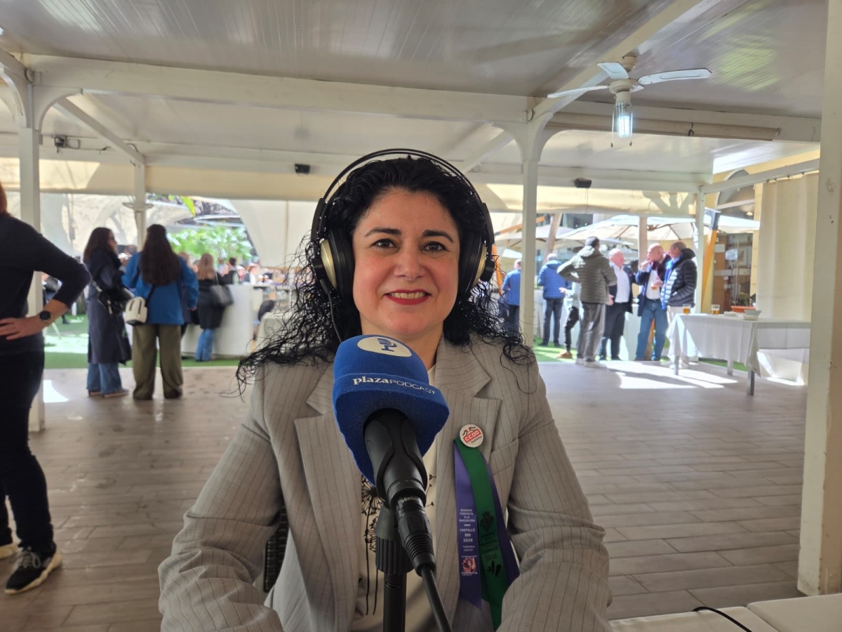 Ana García (CCOO PV): 