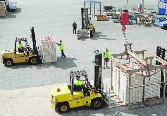 El Gobierno confirma el impacto exterior en el cítrico: cae la exportación y crece la importación