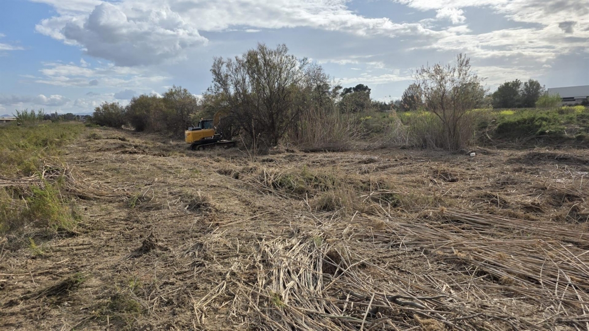 La CHS invierte seis millones para las obras de restauración y laminación en la cañada del Morcillo en Molina
