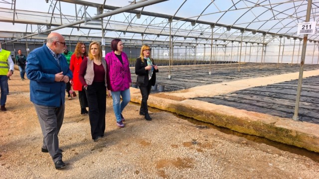 Agricultura invierte 26,4 millones en la recuperación de daños causados por la Dana en el sector agrario de Chiva
