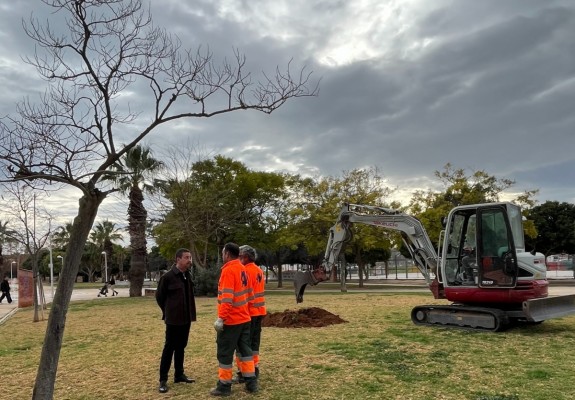 Catarroja licita la reposición del arbolado viario para continuar recuperando la infraestructura verde después de la Dana
