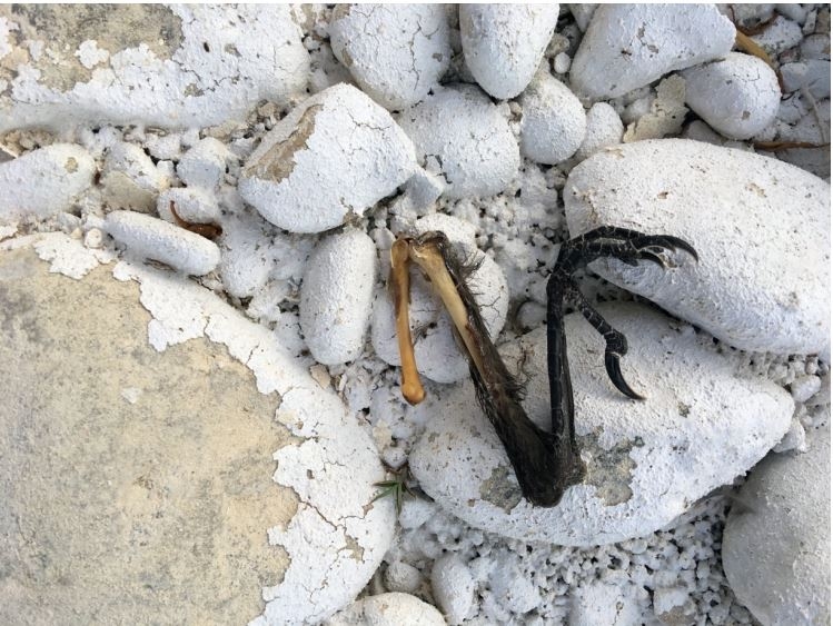 Cuando el arte recuerda que 'no somos nadie': comisariado con futuro en Murcia para la obra de María Bernal y Vázquez Casillas 