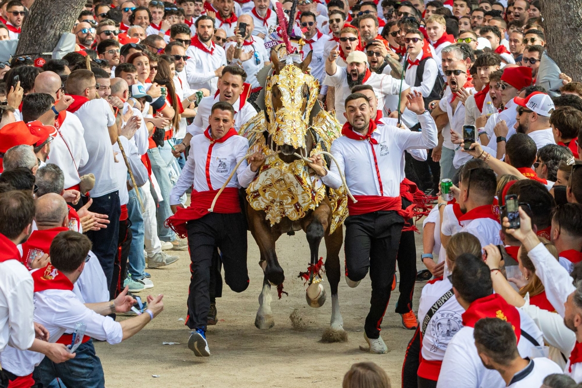  - Francisco Peñaranda