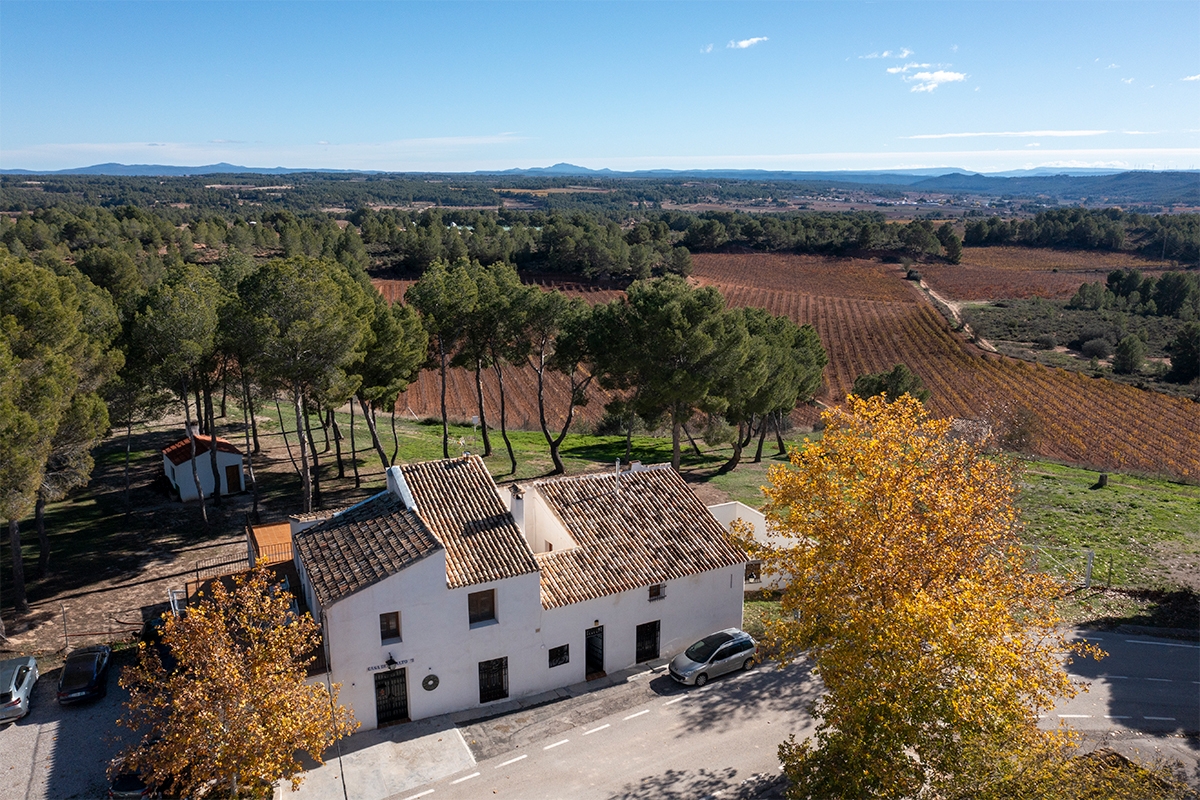 Lo Alto: el relato de embotellar un paisaje mágico
