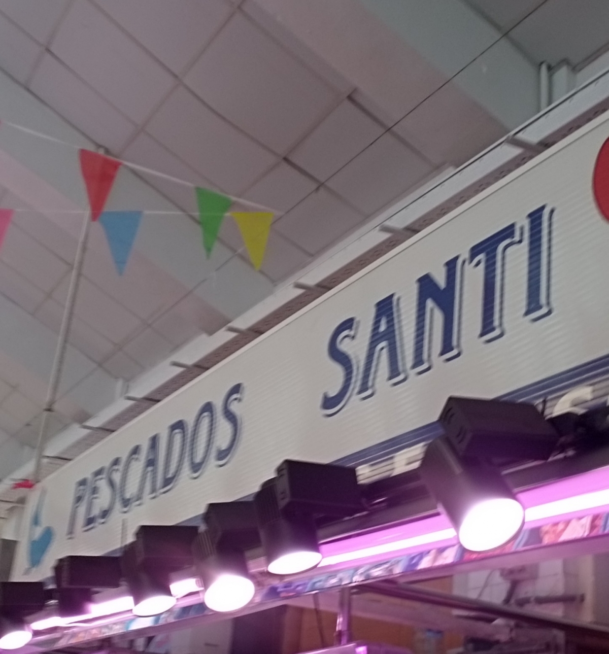 Detalle del efecto de las filtraciones, en la cubierta del Mercado de Carolinas.