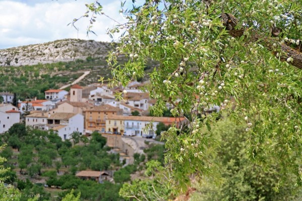 Fageca celebrarà un cap de setmana d'activitats per a reivindicar el seu patrimoni natural, cultural i gastronòmic