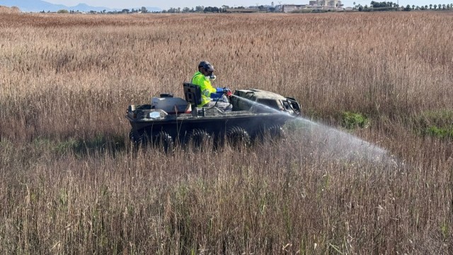 La Diputación de Castellón refuerza las labores de prevención contra los mosquitos en la zona del litoral
