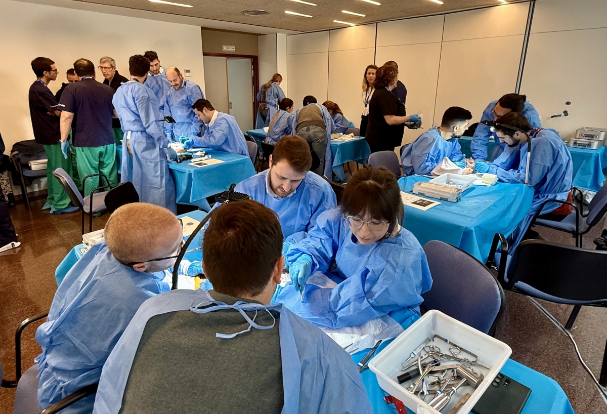 El Doctor Balmis de Alicante realiza al año más de 250 cirugías complejas de hombro, muñeca y codo