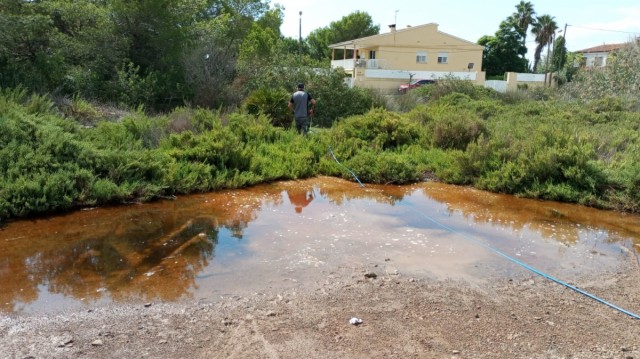Benicàssim se previene contra los mosquitos tras las lluvias recientes y ante el aumento de temperaturas