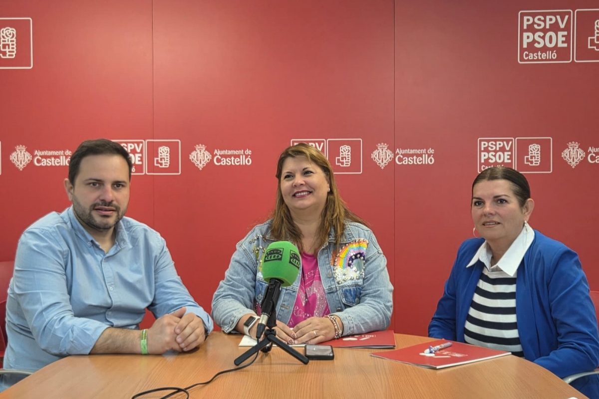 Puerta ha advertido de una "creciente saturación" en zonas céntricas, con "molestias vecinales".