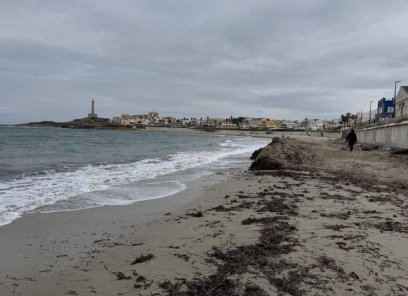 Procabo alerta de los daños al litoral por la limpieza mecánica de las playas en Cartagena