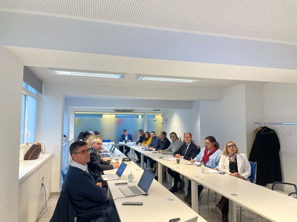 Mesa Provincial de Alicante para la Coordinación del Sector Emprendedor.