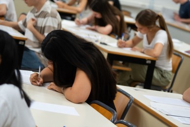 El Consell autoriza 23 nuevas titulaciones universitarias para el próximo curso