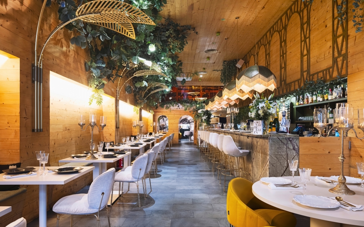 Carta de Vuelve Carolina al mundo 