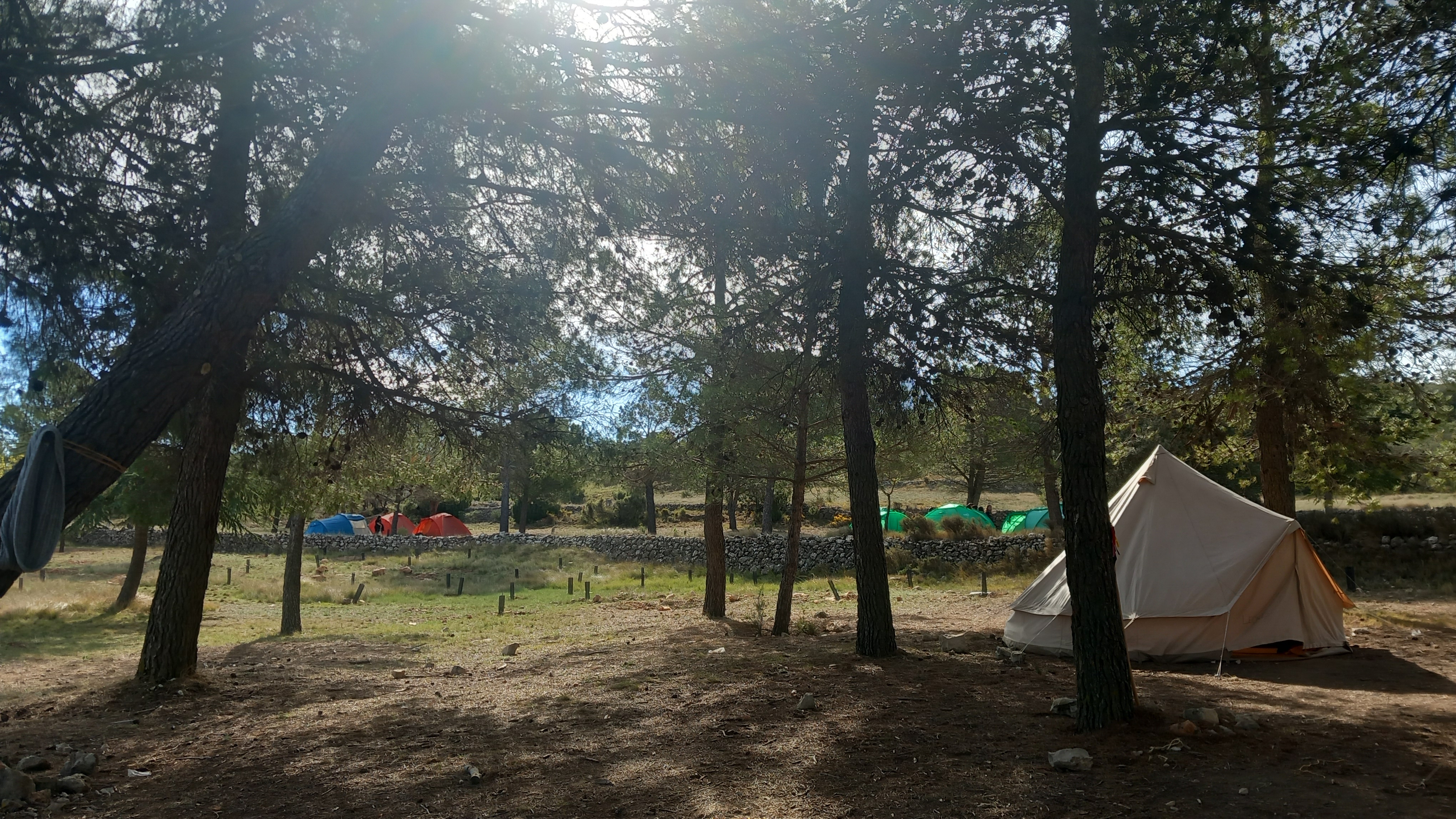 Cerca de 1.500 niños participan en campamentos de la Generalitat en entornos naturales en verano