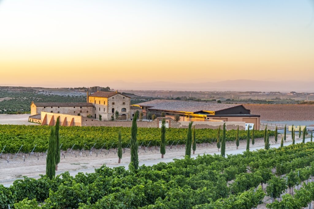 Del Purgatori al cielo: Torres estrena añada con una cata vertical sin complejos