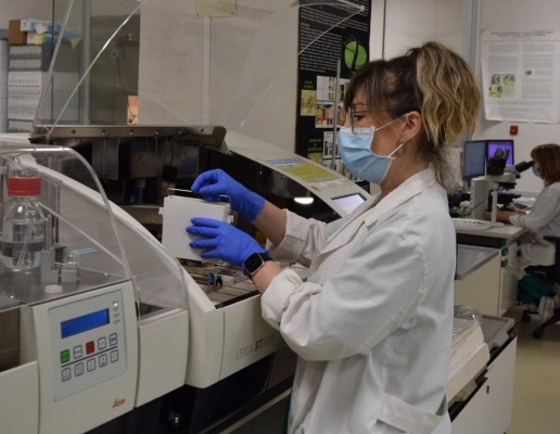 El Instituto de Medicina Legal y Ciencias Forenses de València realizó 1.838 autopsias en 2023