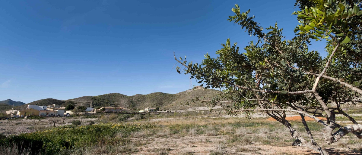 Cartagena activa un contrato anual para conservar caminos rurales y terrenos municipales