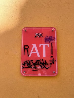 Aptur CV denuncia una oleada de actos vandálicos contra 450 viviendas turísticas en bajos de València