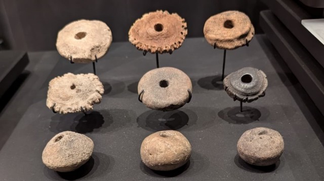 Expertos investigadores analizan el telar vertical de hace 3.500 años hallado en Cabezo Redondo