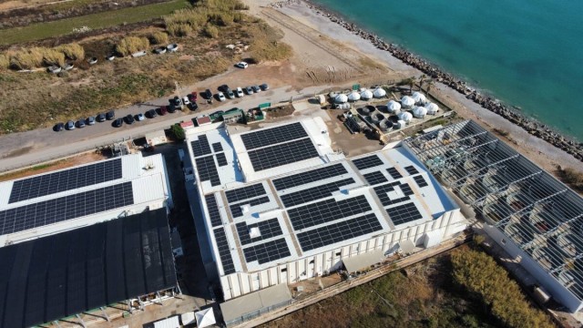 Avramar deberá renovar las concesiones de sus dos granjas marinas de Burriana tras varios años de dificultades financieras