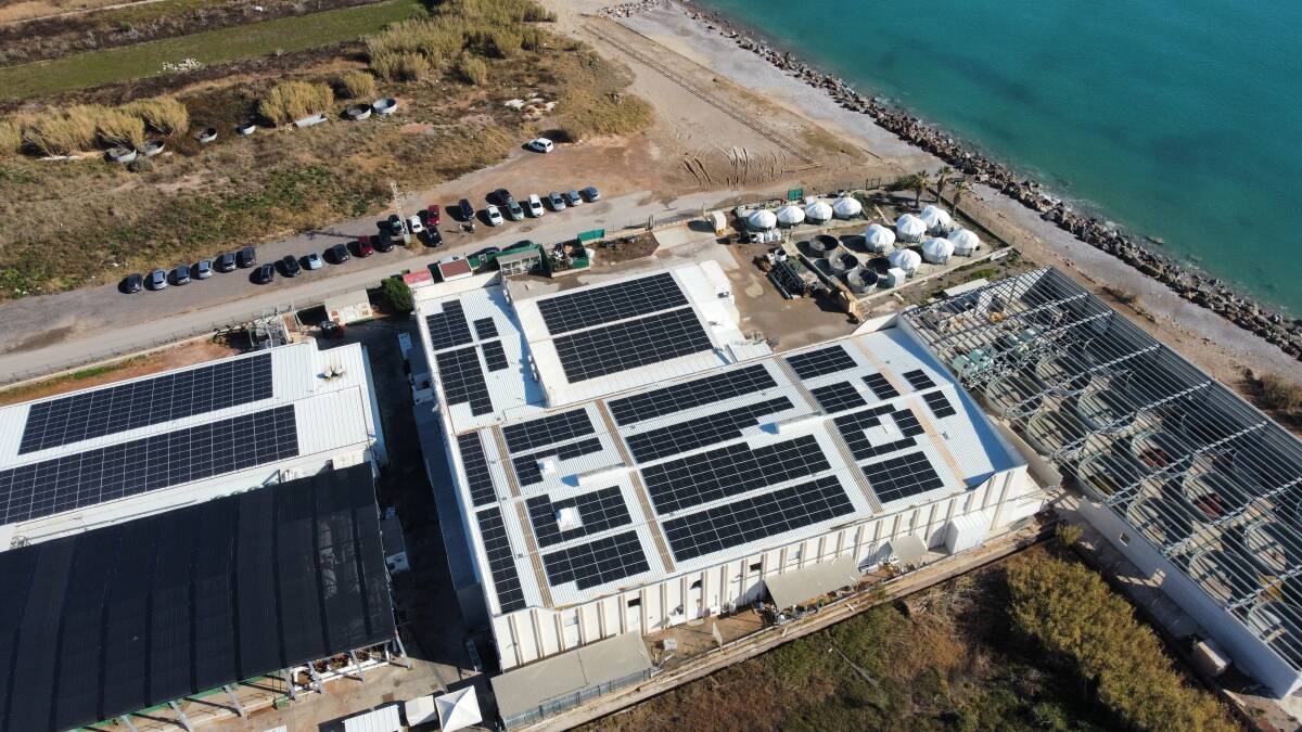 Avramar deberá renovar las concesiones de sus dos granjas marinas de Burriana tras varios años de dificultades financieras