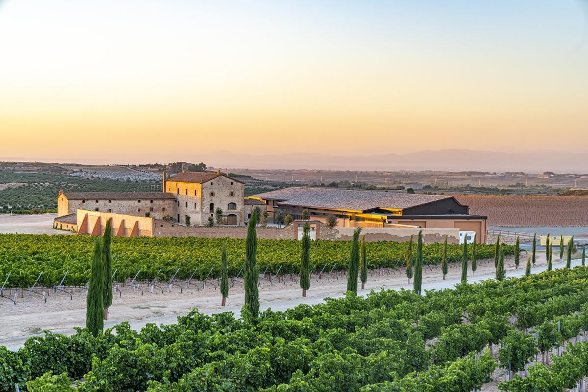  Del Purgatori al cielo: Torres estrena añada con una cata vertical sin complejos