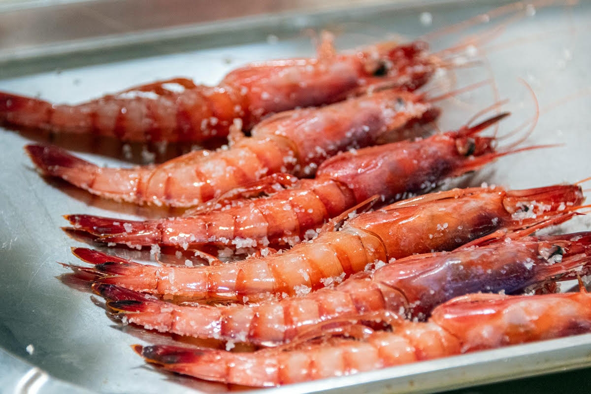 Dénia vuelve a celebrar su concurso sobre la gamba roja