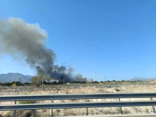 Los bomberos dan por extinguido el incendio forestal de Benidorm declarado el sábado
