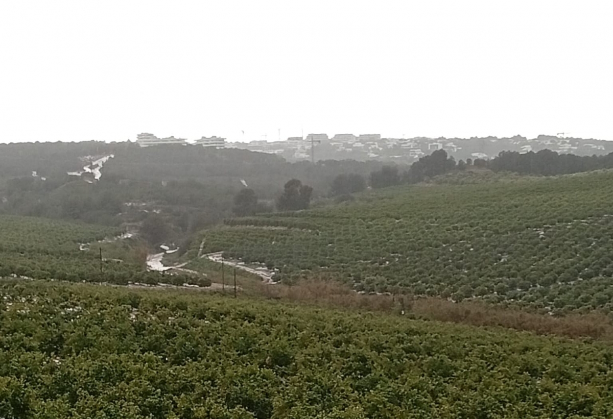 Vaersa elimina 9.500 metros cuadrados de caña invasora en Sierra Escalona, con autorización de la CHS