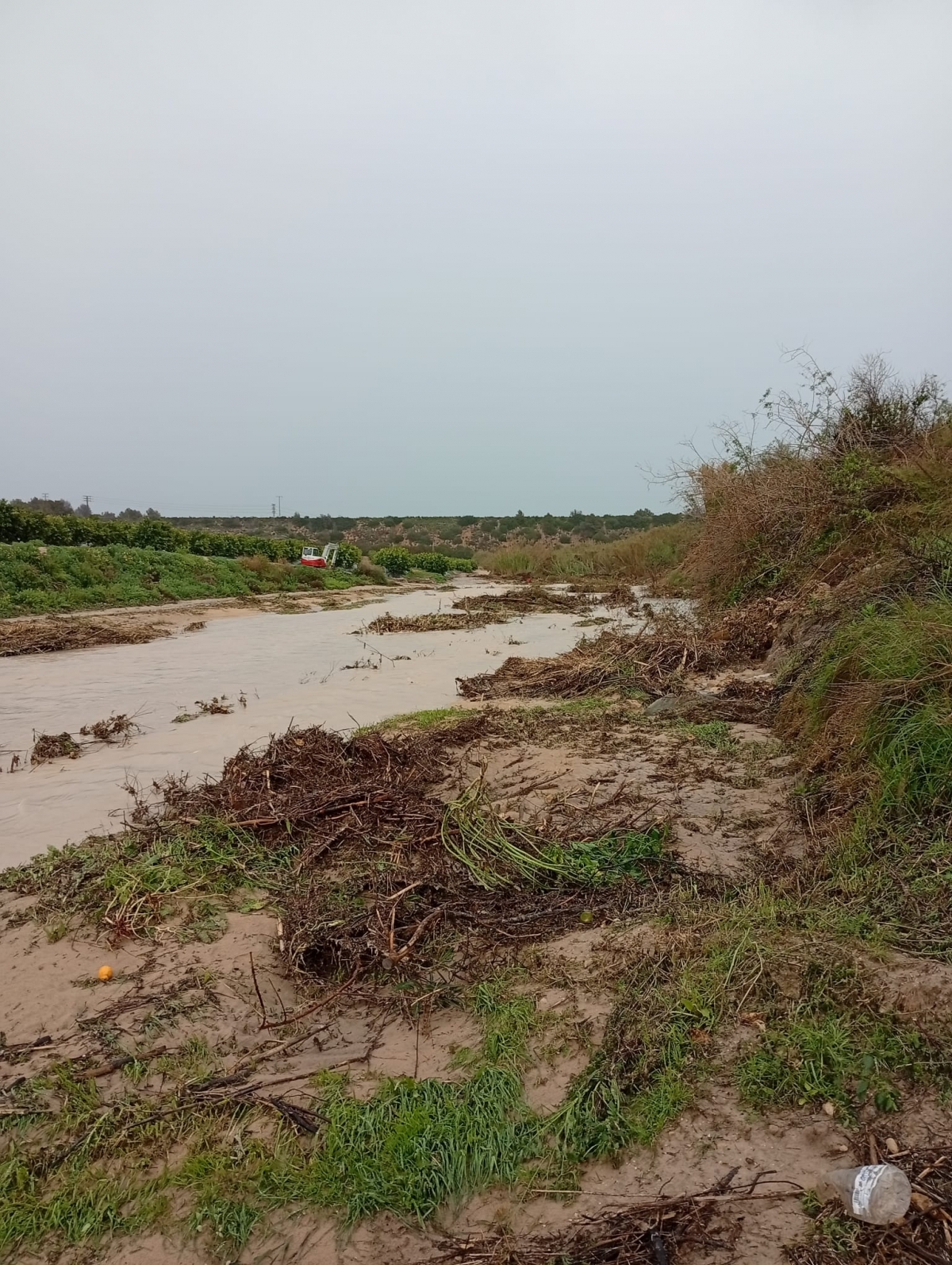 Vaersa elimina 9.500 metros cuadrados de caña invasora en Sierra Escalona, con autorización de la CHS.