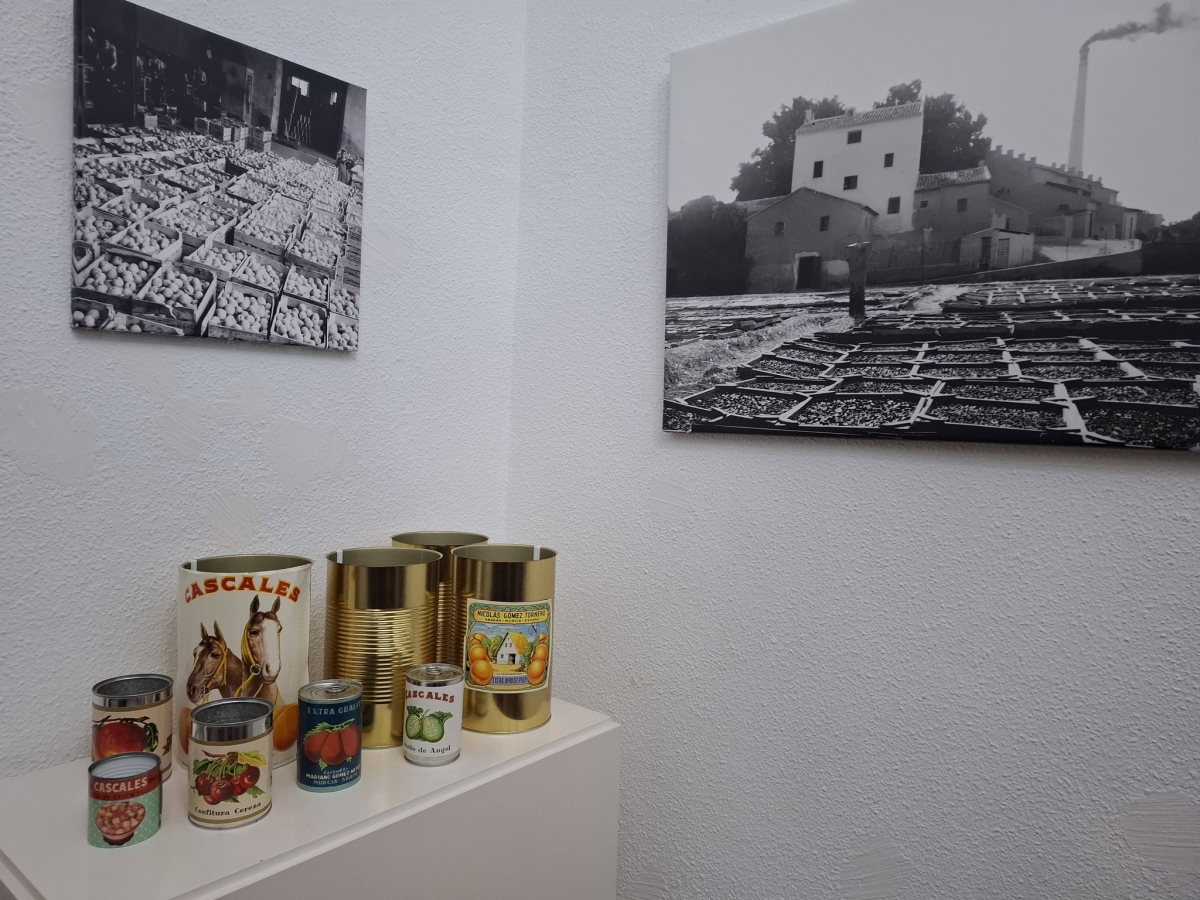  - Foto: AYTO. ALCANTARILLA