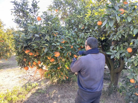 La Unió acusa a Agricultura de 